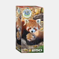 Eurographics Red Pandas (Jigsaw Puzzle – 250 Pieces)