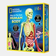 National Geographic Glow-In-The-Dark Human Body Craft Kit