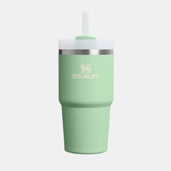 Stanley Quencher H2.0 FlowState Tumbler with Straw, 600ml (20oz)- Pistachio
