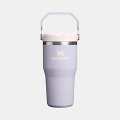 Stanley Iceflow Flip Straw Tumbler, 590ml (20oz)- Purple Dust