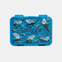 Curious Medium Bento Lunchbox