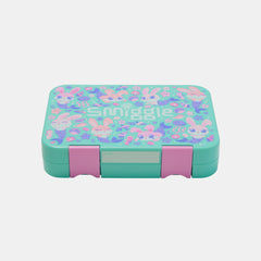 Curious Medium Bento Lunchbox