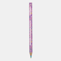 Super Charge Rainbow Pencil