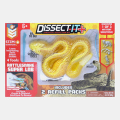 Dissect It Synthetic Dissection Kit - Rattlesnake (Includes 2 Refill Packs)