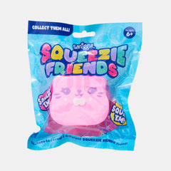 Squeezie Friends