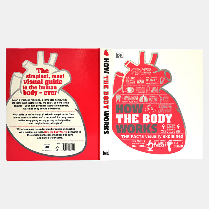 How The Body Works: The Facts Visually Explained – BORDERS