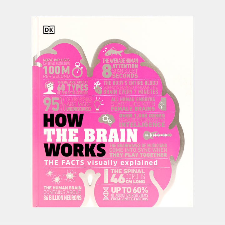 How The Brain Works : The Facts Visually Explained – BORDERS
