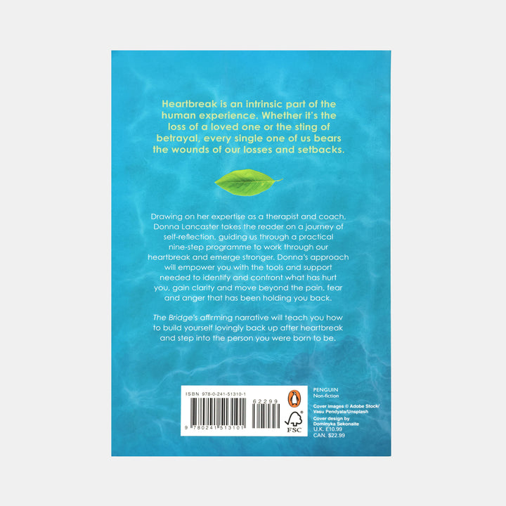 The Bridge : A Nine-Step Plan To Healing Your Trauma, Accepting Yourse ...
