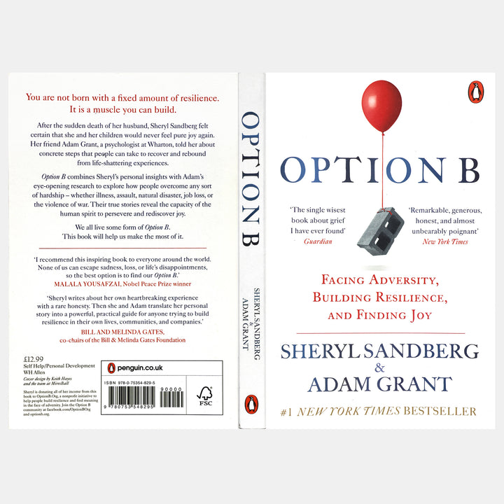 Option B: Facing Adversity, Building Resilience, And Finding Joy – BORDERS