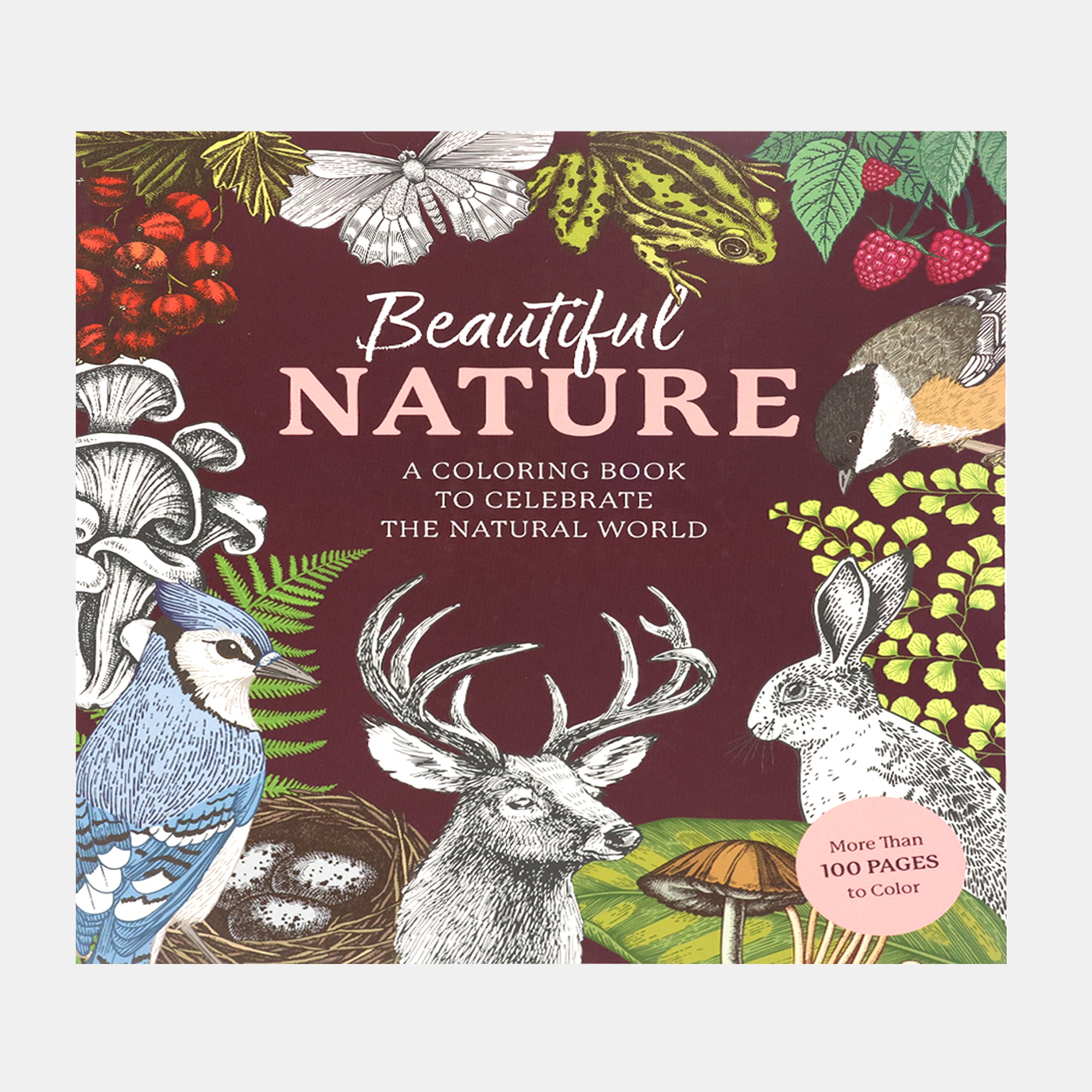 Beautiful Nature Coloring Book: A Coloring Book To Celebrate The Natur ...